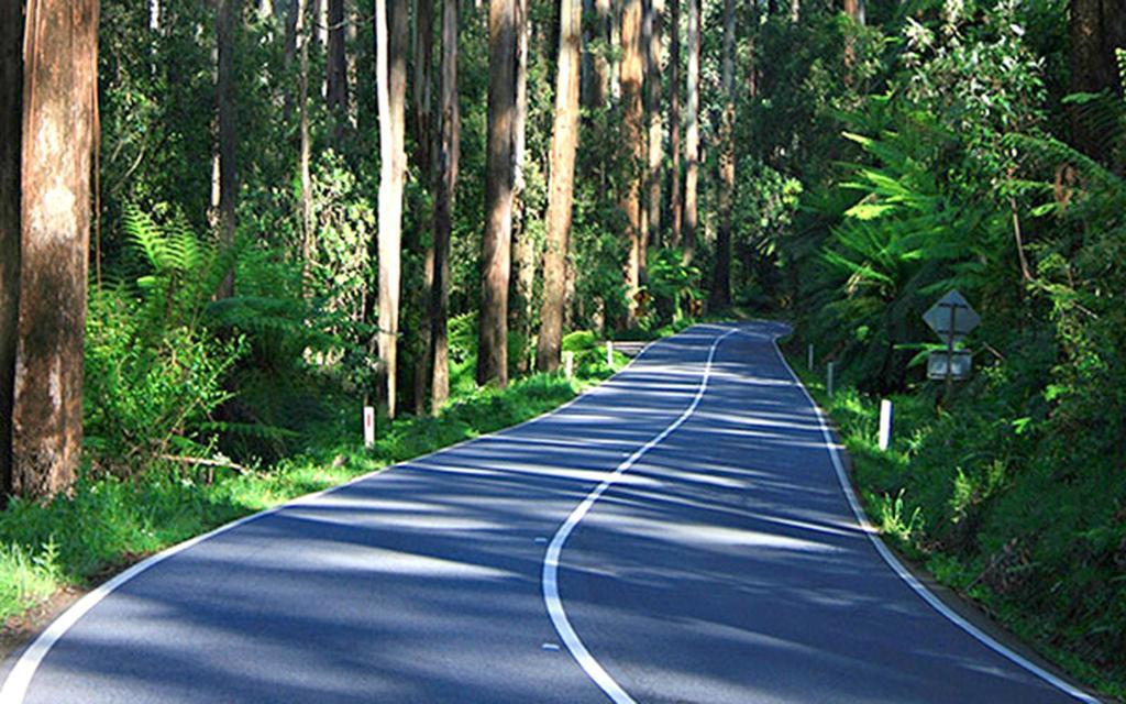 Marysville Holiday Park ภายนอก รูปภาพ