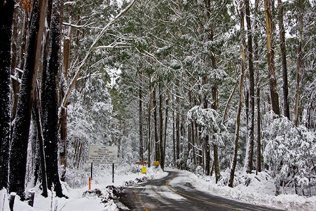 Marysville Holiday Park ภายนอก รูปภาพ